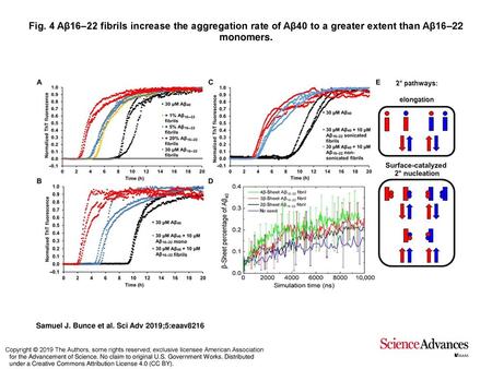 Fig. 4 Aβ16–22 fibrils increase the aggregation rate of Aβ40 to a greater extent than Aβ16–22 monomers. Aβ16–22 fibrils increase the aggregation rate of.