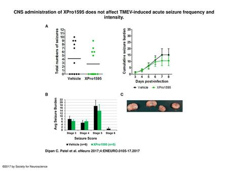 CNS administration of XPro1595 does not affect TMEV-induced acute seizure frequency and intensity. CNS administration of XPro1595 does not affect TMEV-induced.