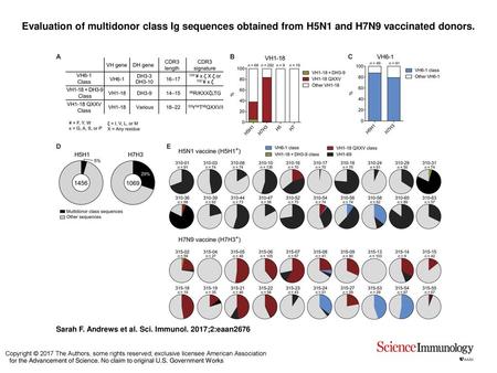 Evaluation of multidonor class Ig sequences obtained from H5N1 and H7N9 vaccinated donors. Evaluation of multidonor class Ig sequences obtained from H5N1.