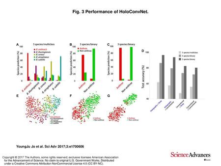 Fig. 3 Performance of HoloConvNet.