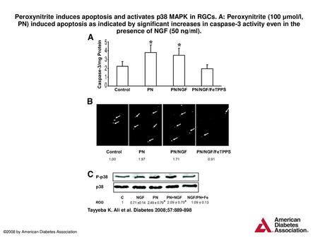 Peroxynitrite induces apoptosis and activates p38 MAPK in RGCs