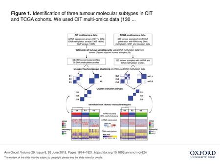 Figure 1. Identification of three tumour molecular subtypes in CIT and TCGA cohorts. We used CIT multi-omics data (130 ... Figure 1. Identification of.