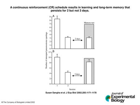 A continuous reinforcement (CR) schedule results in learning and long-term memory that persists for 2 but not 3 days. A continuous reinforcement (CR) schedule.