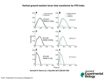 Vertical ground reaction force–time waveforms for FFS trials.