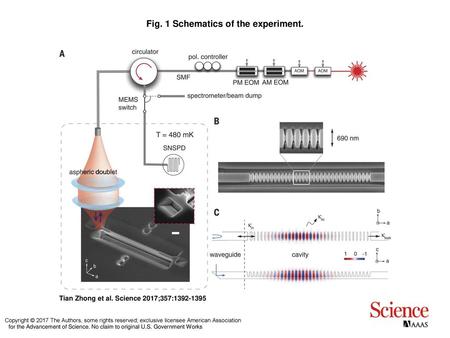 Fig. 1 Schematics of the experiment.