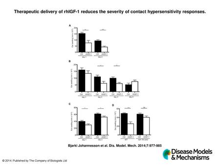 Therapeutic delivery of rhIGF-1 reduces the severity of contact hypersensitivity responses. Therapeutic delivery of rhIGF-1 reduces the severity of contact.