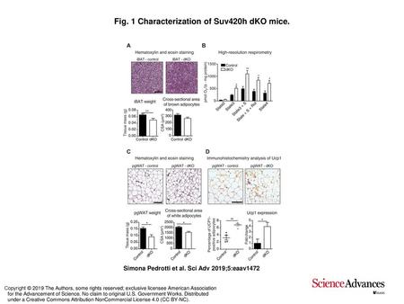 Fig. 1 Characterization of Suv420h dKO mice.