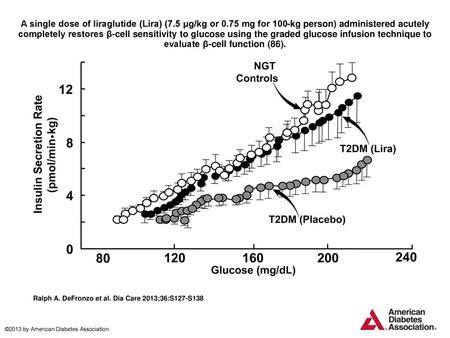 A single dose of liraglutide (Lira) (7. 5 μg/kg or 0