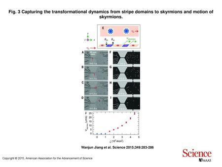 Fig. 3 Capturing the transformational dynamics from stripe domains to skyrmions and motion of skyrmions. Capturing the transformational dynamics from stripe.