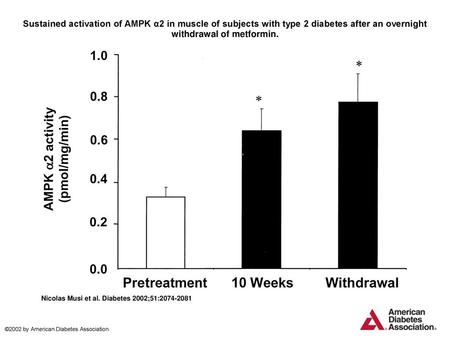 Sustained activation of AMPK α2 in muscle of subjects with type 2 diabetes after an overnight withdrawal of metformin. Sustained activation of AMPK α2.