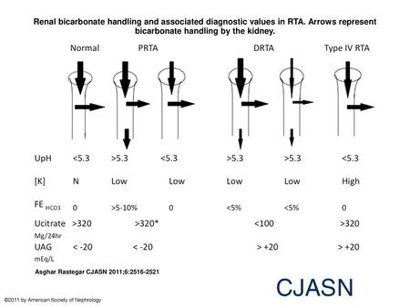 Renal bicarbonate handling and associated diagnostic values in RTA