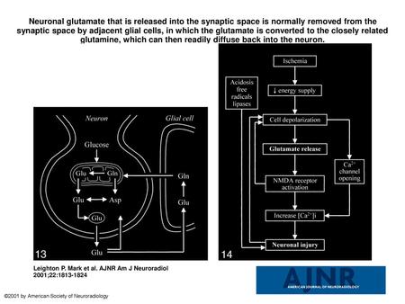 Neuronal glutamate that is released into the synaptic space is normally removed from the synaptic space by adjacent glial cells, in which the glutamate.