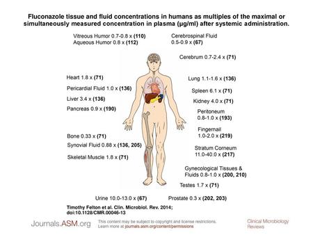 Fluconazole tissue and fluid concentrations in humans as multiples of the maximal or simultaneously measured concentration in plasma (μg/ml) after systemic.