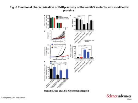 Fig. 6 Functional characterization of RdRp activity of the recMeV mutants with modified N proteins. Functional characterization of RdRp activity of the.