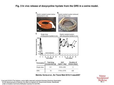 In vivo release of doxycycline hyclate from the GRS in a swine model