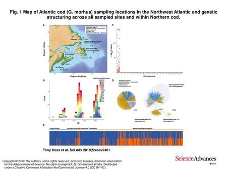 Fig. 1 Map of Atlantic cod (G