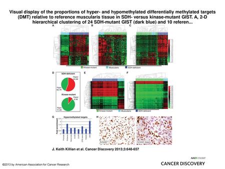 Visual display of the proportions of hyper- and hypomethylated differentially methylated targets (DMT) relative to reference muscularis tissue in SDH-