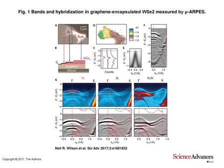 Fig. 1 Bands and hybridization in graphene-encapsulated WSe2 measured by μ-ARPES. Bands and hybridization in graphene-encapsulated WSe2 measured by μ-ARPES.