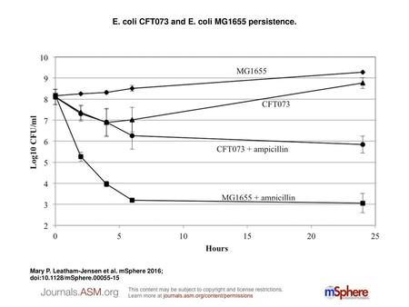 E. coli CFT073 and E. coli MG1655 persistence.