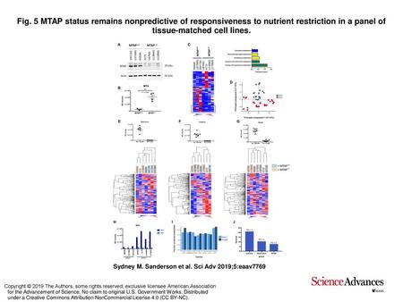 Fig. 5 MTAP status remains nonpredictive of responsiveness to nutrient restriction in a panel of tissue-matched cell lines. MTAP status remains nonpredictive.