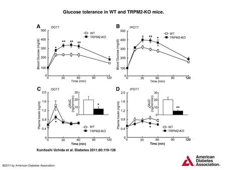 Glucose tolerance in WT and TRPM2-KO mice.