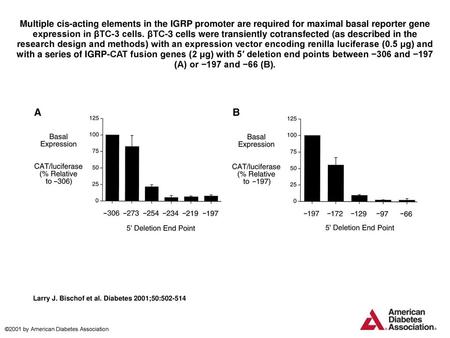 Multiple cis-acting elements in the IGRP promoter are required for maximal basal reporter gene expression in βTC-3 cells. βTC-3 cells were transiently.