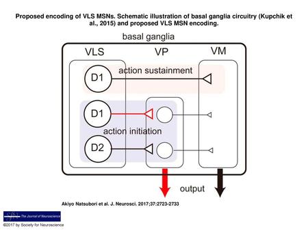 Proposed encoding of VLS MSNs