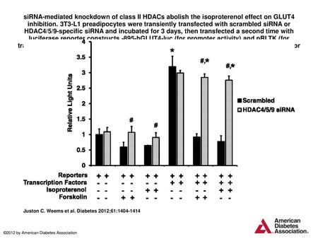 SiRNA-mediated knockdown of class II HDACs abolish the isoproterenol effect on GLUT4 inhibition. 3T3-L1 preadipocytes were transiently transfected with.