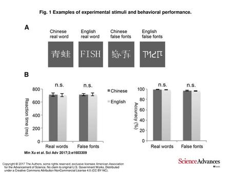 Fig. 1 Examples of experimental stimuli and behavioral performance.