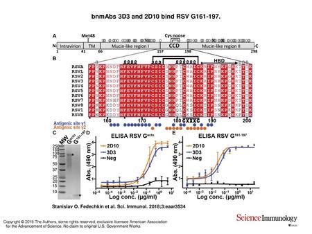 BnmAbs 3D3 and 2D10 bind RSV G161-197. bnmAbs 3D3 and 2D10 bind RSV G161-197. (A) Schematic of the RSV G glycoprotein from RSV strain A2, including the.