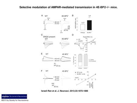 Selective modulation of AMPAR-mediated transmission in 4E-BP2−/− mice.