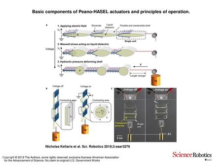 Basic components of Peano-HASEL actuators and principles of operation.