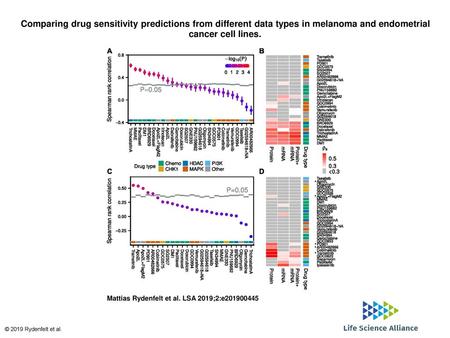 Comparing drug sensitivity predictions from different data types in melanoma and endometrial cancer cell lines. Comparing drug sensitivity predictions.