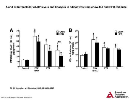 A and B: Intracellular cAMP levels and lipolysis in adipocytes from chow-fed and HFD-fed mice. A and B: Intracellular cAMP levels and lipolysis in adipocytes.