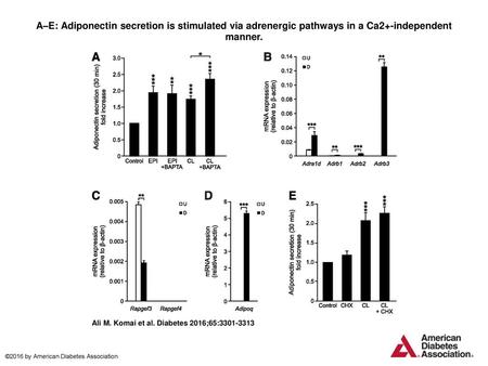 A–E: Adiponectin secretion is stimulated via adrenergic pathways in a Ca2+-independent manner. A–E: Adiponectin secretion is stimulated via adrenergic.