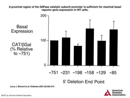 A proximal region of the G6Pase catalytic subunit promoter is sufficient for maximal basal reporter gene expression in HIT cells. A proximal region of.