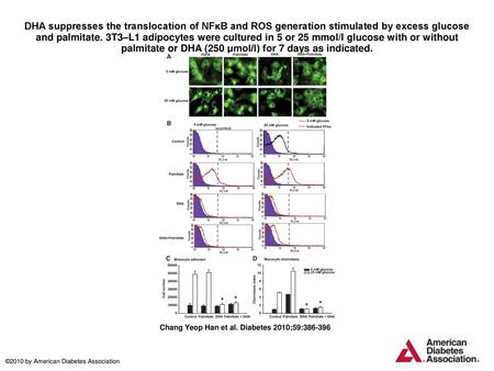 DHA suppresses the translocation of NFκB and ROS generation stimulated by excess glucose and palmitate. 3T3–L1 adipocytes were cultured in 5 or 25 mmol/l.