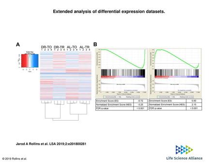 Extended analysis of differential expression datasets.