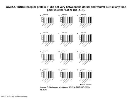 GABAA-TONIC receptor protein-IR did not vary between the dorsal and ventral SCN at any time point in either LD or DD (A–F). GABAA-TONIC receptor protein-IR.