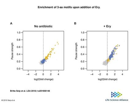 Enrichment of 3-aa motifs upon addition of Ery.