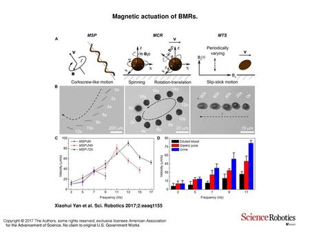 Magnetic actuation of BMRs.