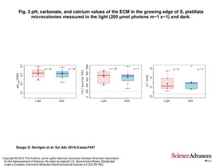 Fig. 3 pH, carbonate, and calcium values of the ECM in the growing edge of S. pistillata microcolonies measured in the light (200 μmol photons m−1 s−1)