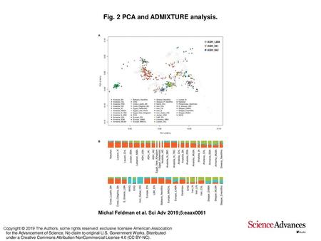 Fig. 2 PCA and ADMIXTURE analysis.