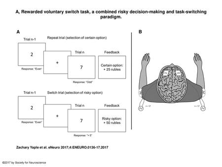 A, Rewarded voluntary switch task, a combined risky decision-making and task-switching paradigm. A, Rewarded voluntary switch task, a combined risky decision-making.