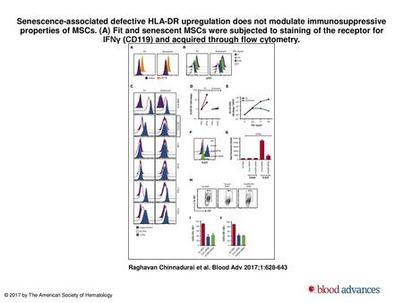 Senescence-associated defective HLA-DR upregulation does not modulate immunosuppressive properties of MSCs. (A) Fit and senescent MSCs were subjected to.