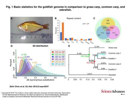 Fig. 1 Basic statistics for the goldfish genome in comparison to grass carp, common carp, and zebrafish. Basic statistics for the goldfish genome in comparison.