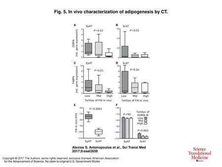 Fig. 5. In vivo characterization of adipogenesis by CT.