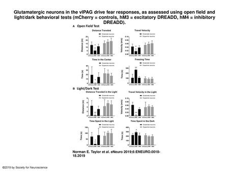 Glutamatergic neurons in the vlPAG drive fear responses, as assessed using open field and light/dark behavioral tests (mCherry = controls, hM3 = excitatory.