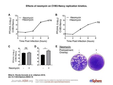 Effects of neomycin on CVB3-Nancy replication kinetics.