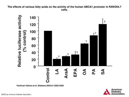 The effects of various fatty acids on the activity of the human ABCA1 promoter in RAW264.7 cells. The effects of various fatty acids on the activity of.